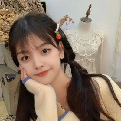 燕子与鹦鹉